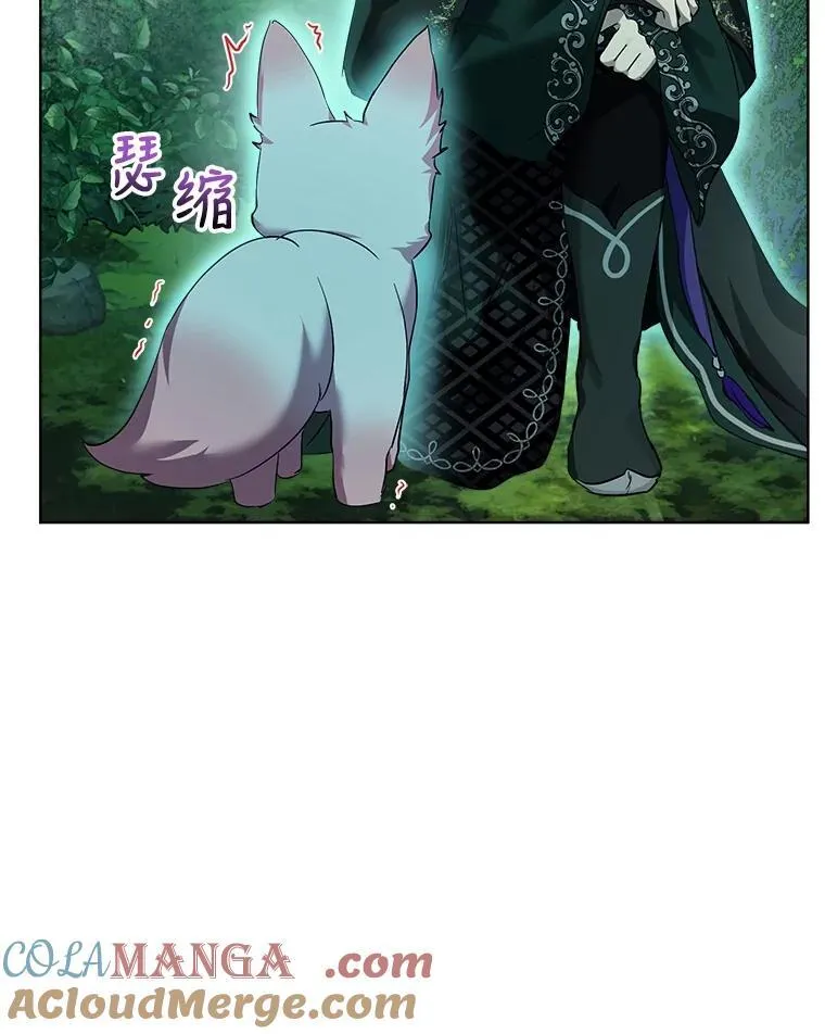 33.巴希拉 第41页