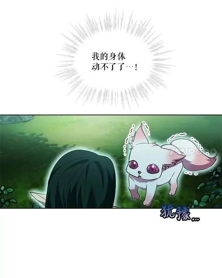 33.巴希拉 第43页