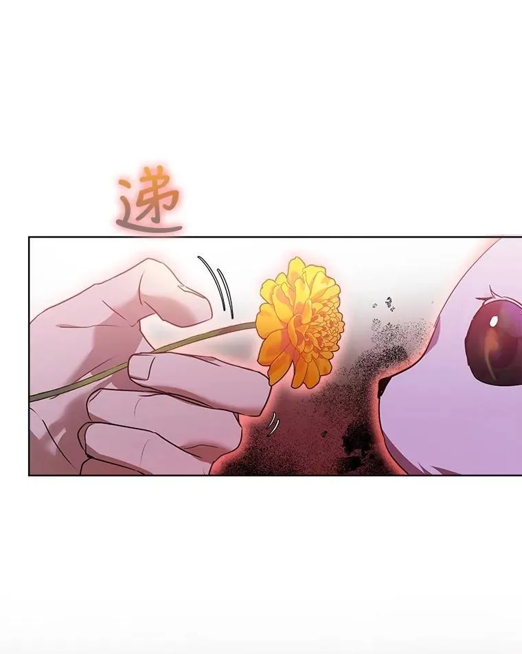 33.巴希拉 第44页
