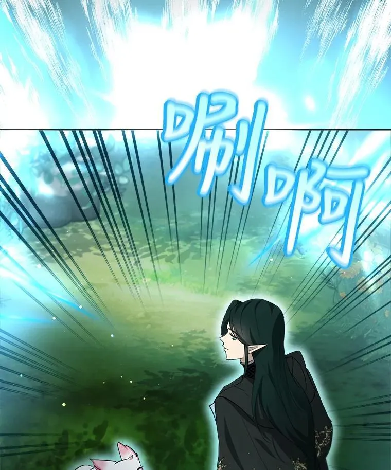 33.巴希拉 第51页