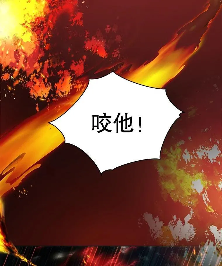 33.巴希拉 第58页