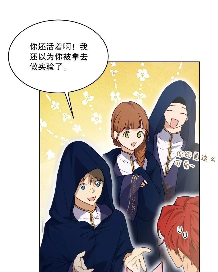 41.贝尔蒙失踪 第15页