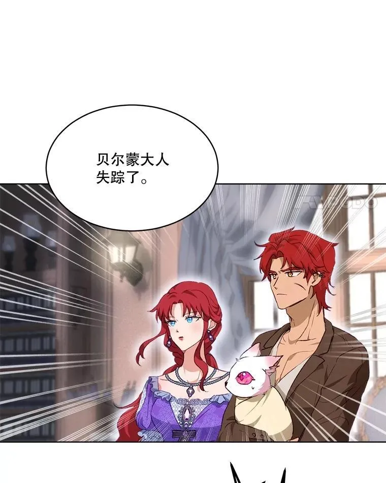 41.贝尔蒙失踪 第20页