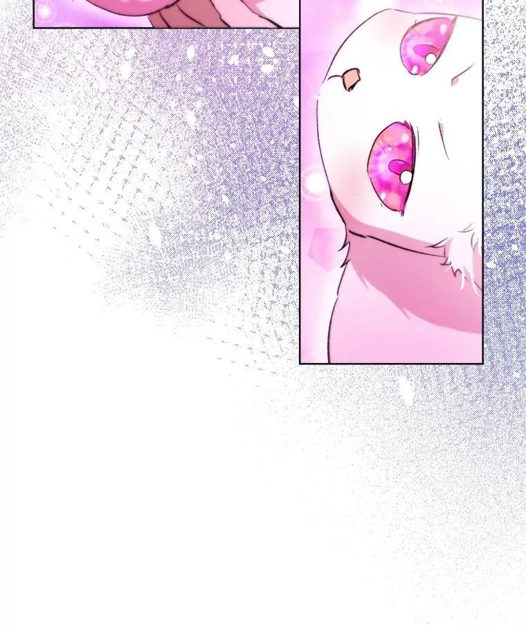 41.贝尔蒙失踪 第66页