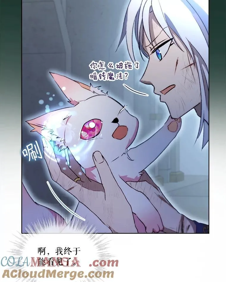 42.意外的相遇 第61页