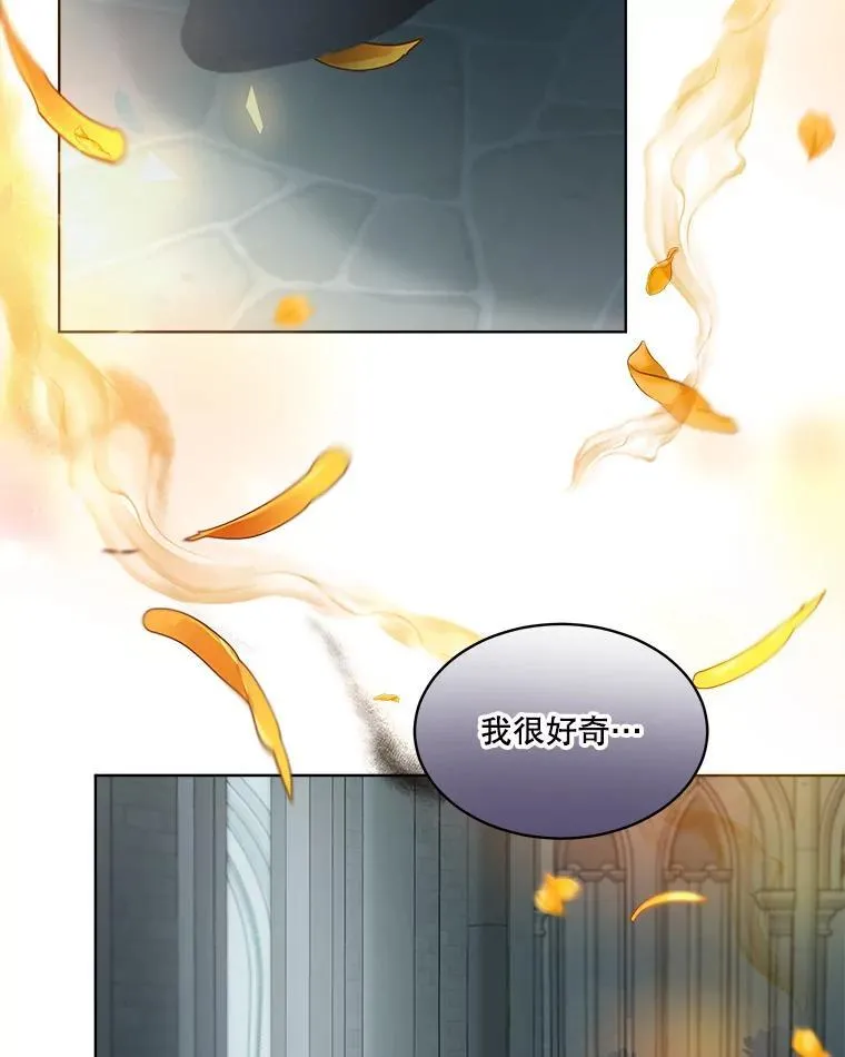 42.意外的相遇 第74页