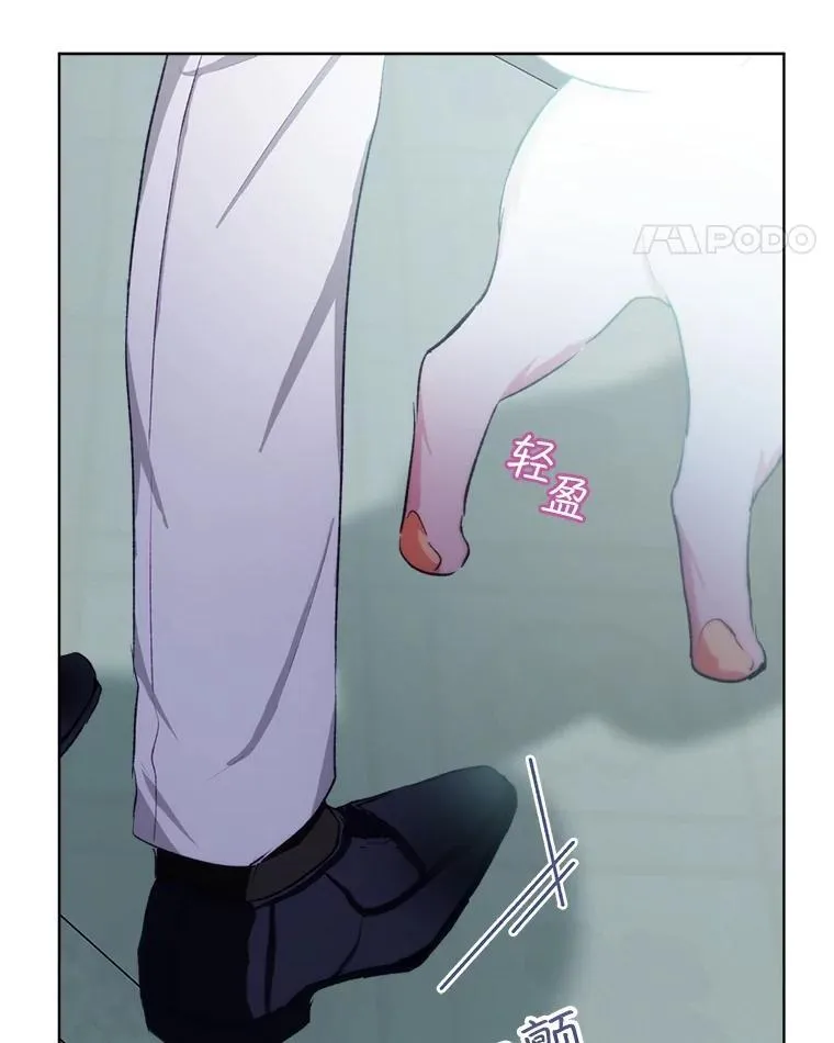 43.两条尾巴 第19页