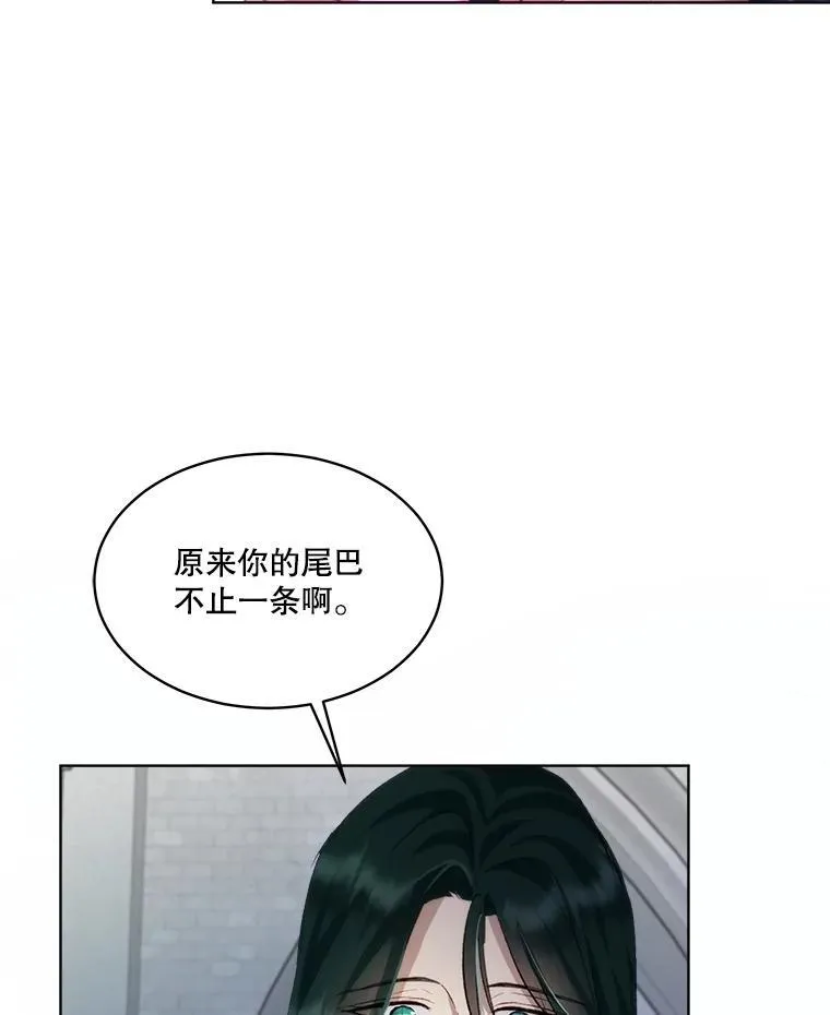 43.两条尾巴 第71页