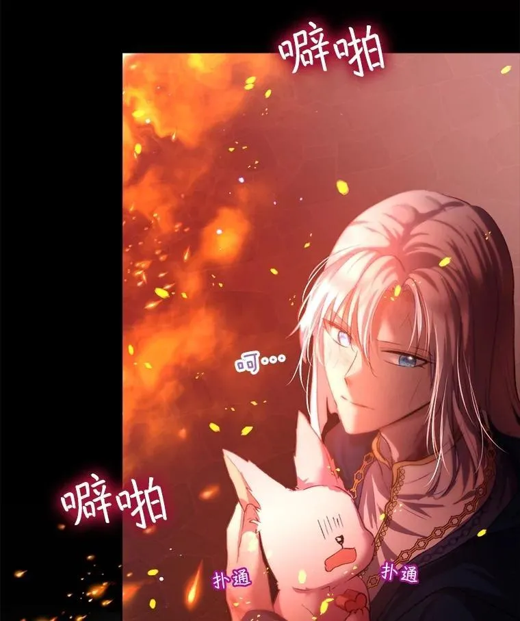 43.两条尾巴 第96页