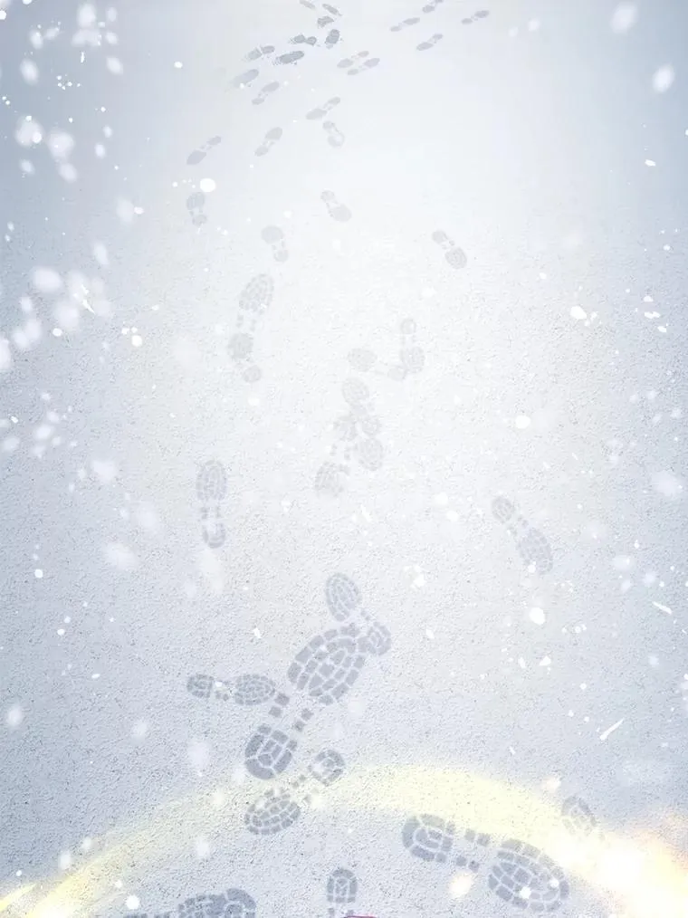 51.抓银狐 第23页