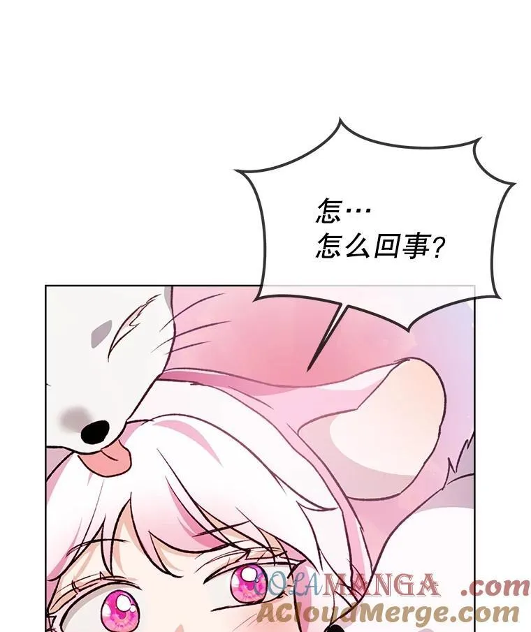 51.抓银狐 第93页