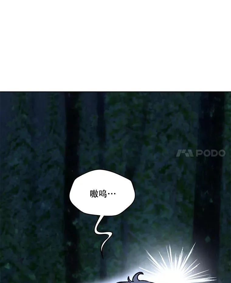 51.抓银狐 第102页