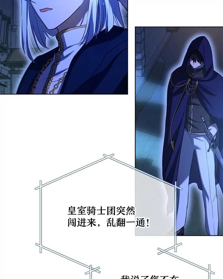 57.陪逛庆典 第22页
