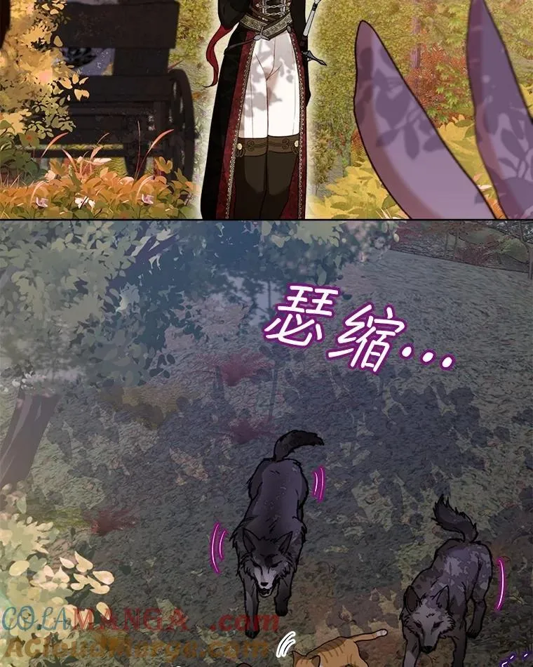 63.完胜 第17页