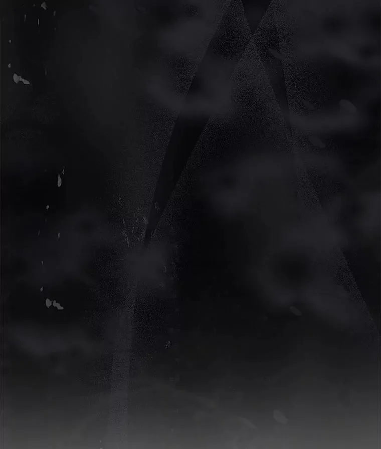 63.完胜 第114页