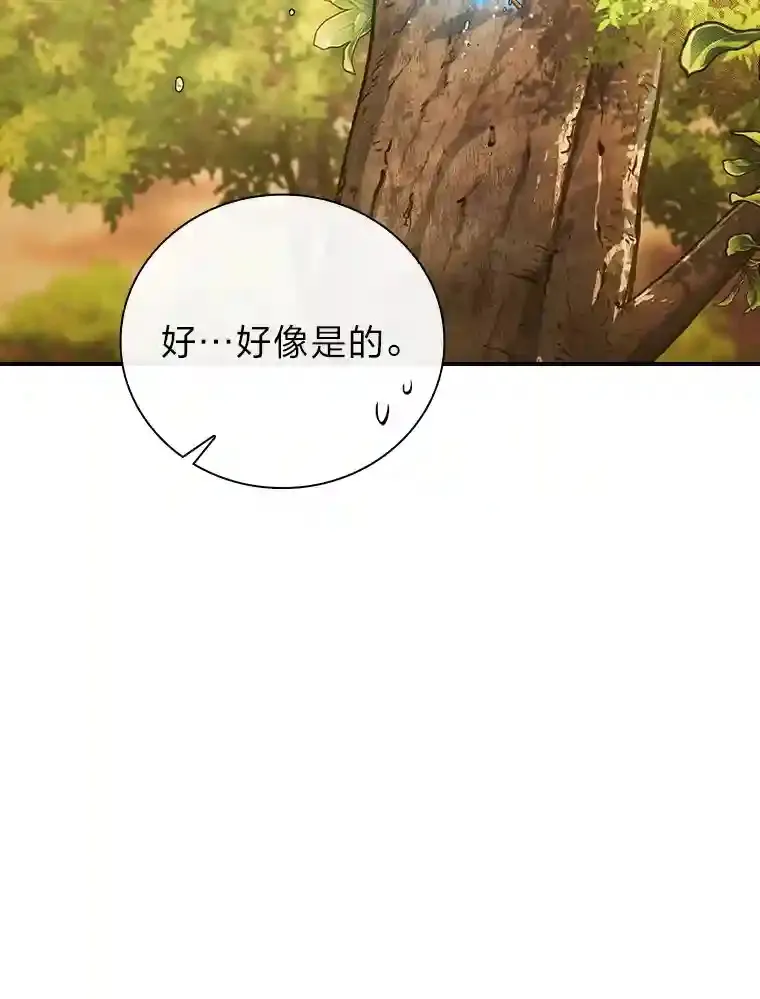 13.看走眼 第12页