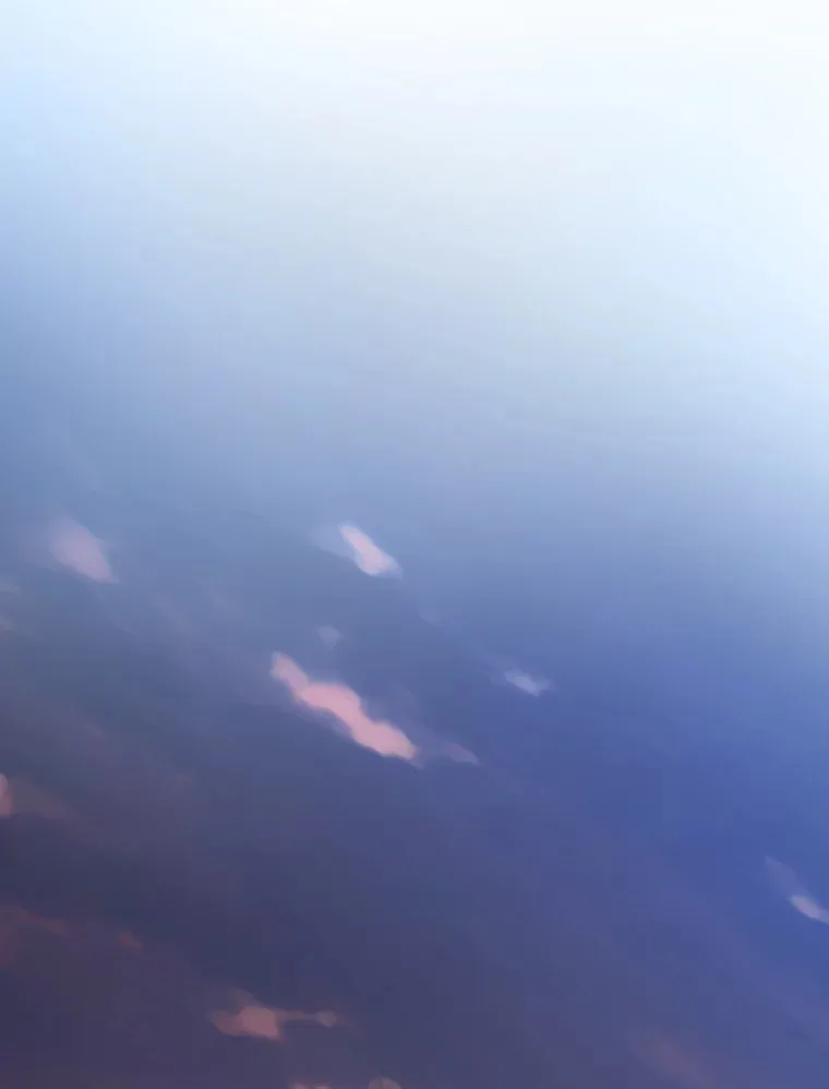 25.“缜密”的计划 第78页