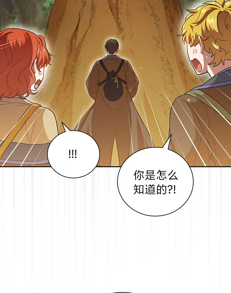 29.树精灵 第47页
