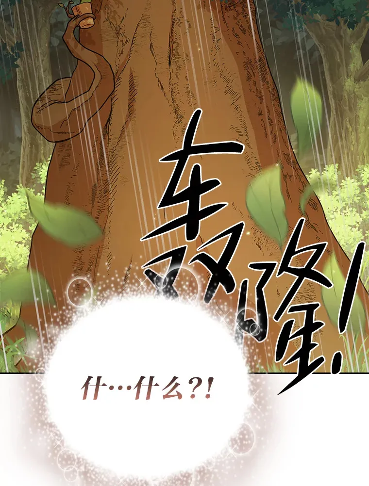 29.树精灵 第81页