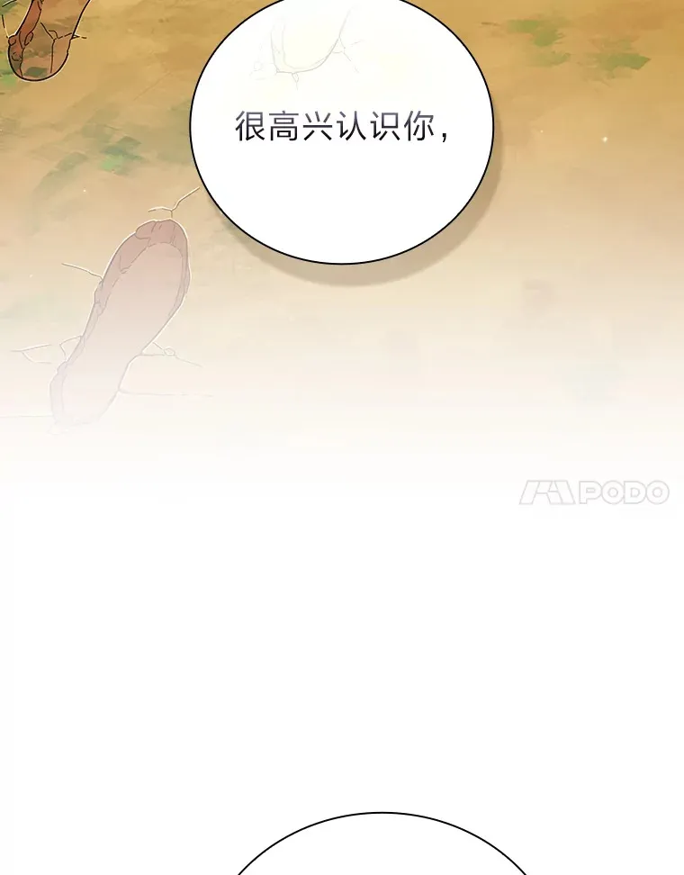 31.弗里辛加教团 第95页