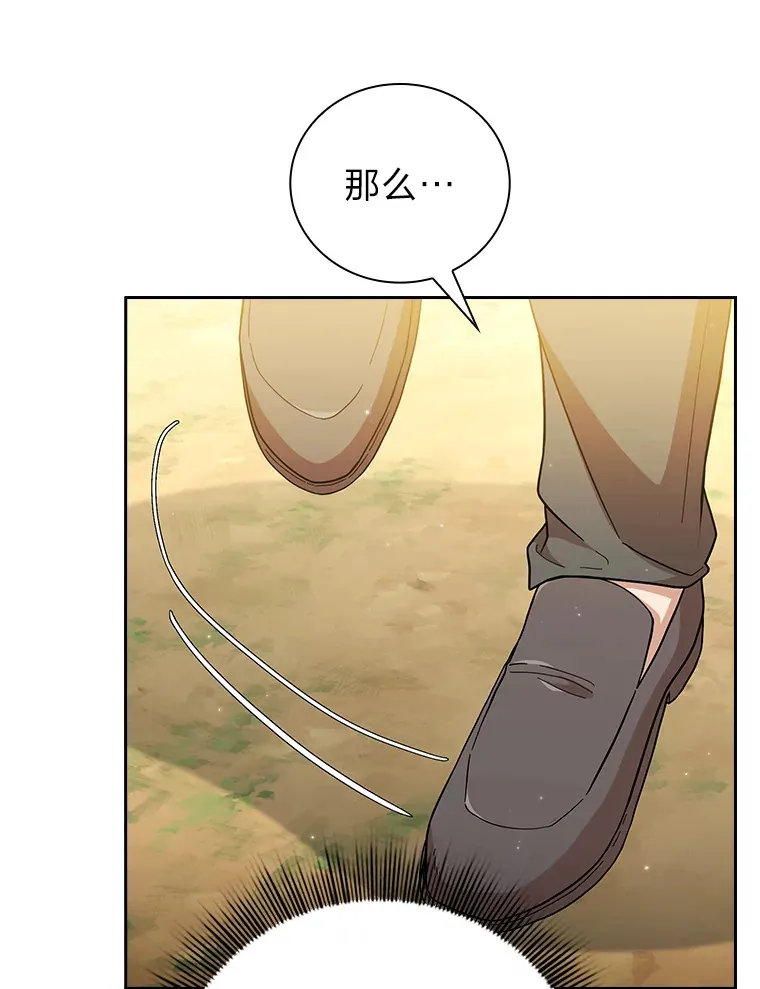 31.弗里辛加教团 第113页