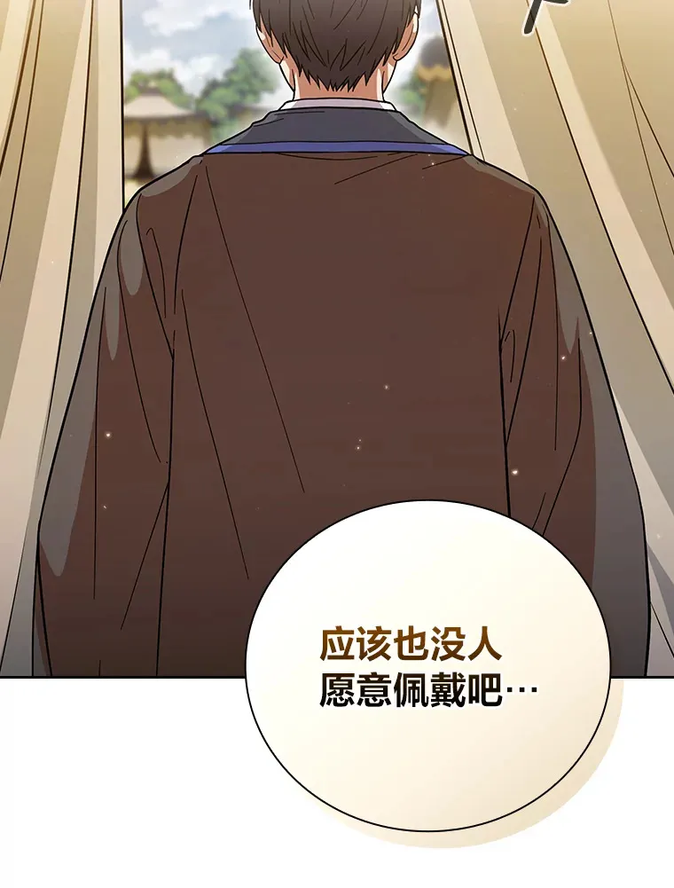 31.弗里辛加教团 第117页