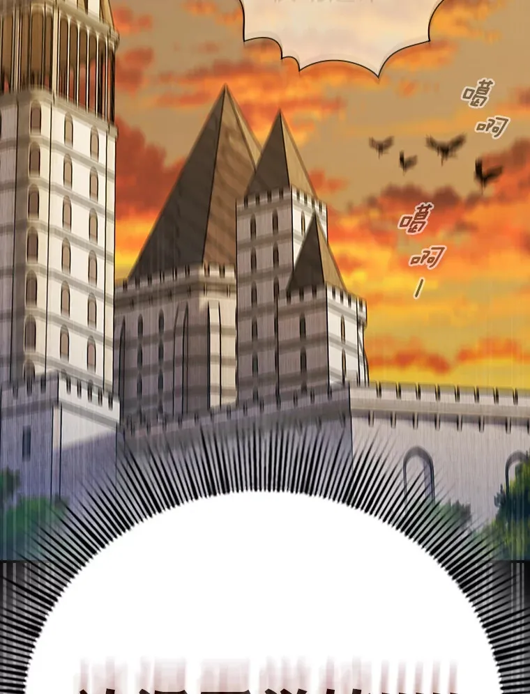38.战斗魔法师 第80页