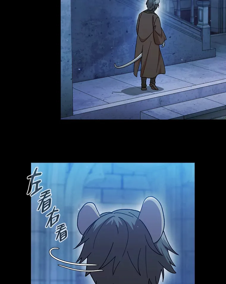 40.小偷联盟 第2页