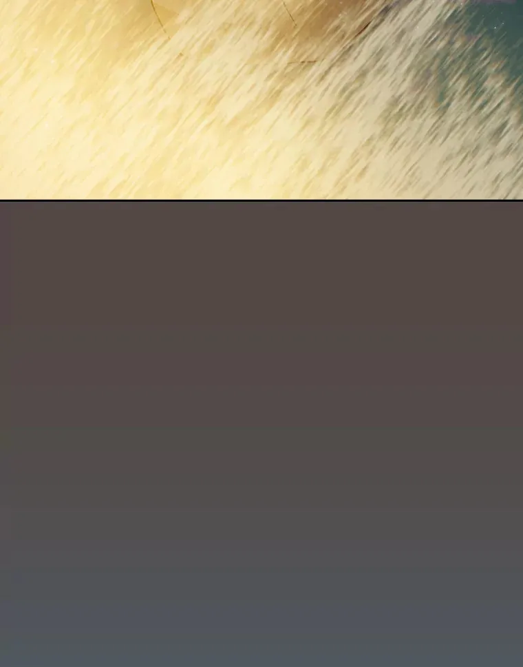 62.急转直下 第112页