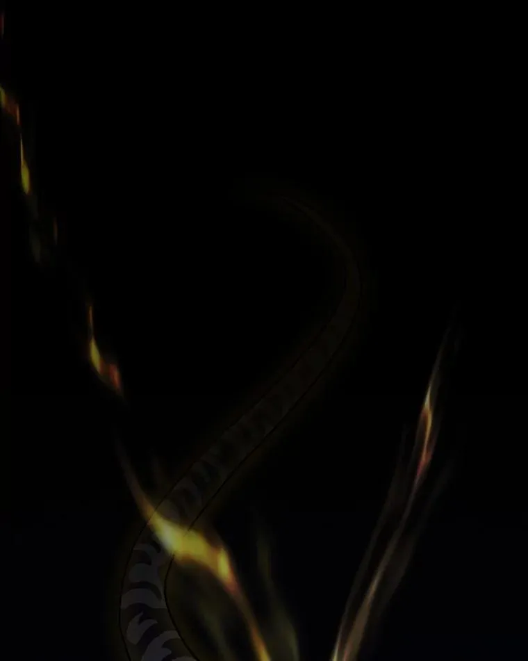 75.夜闯白虎塔 第54页