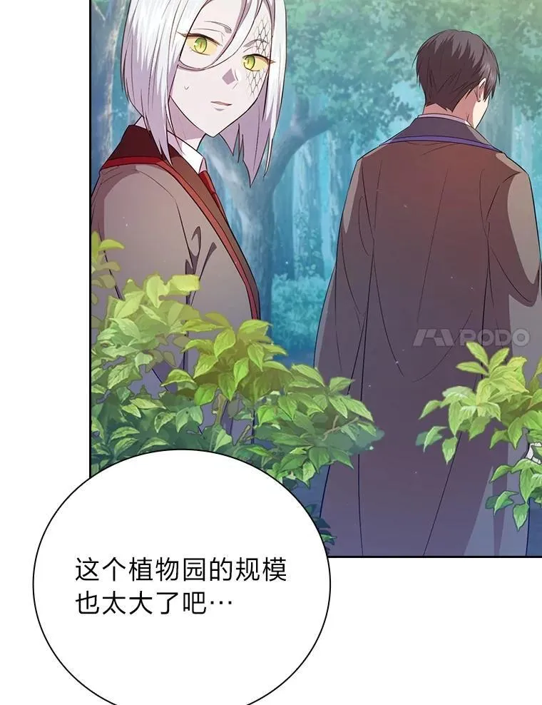 91.对战超牛黄牛 第28页