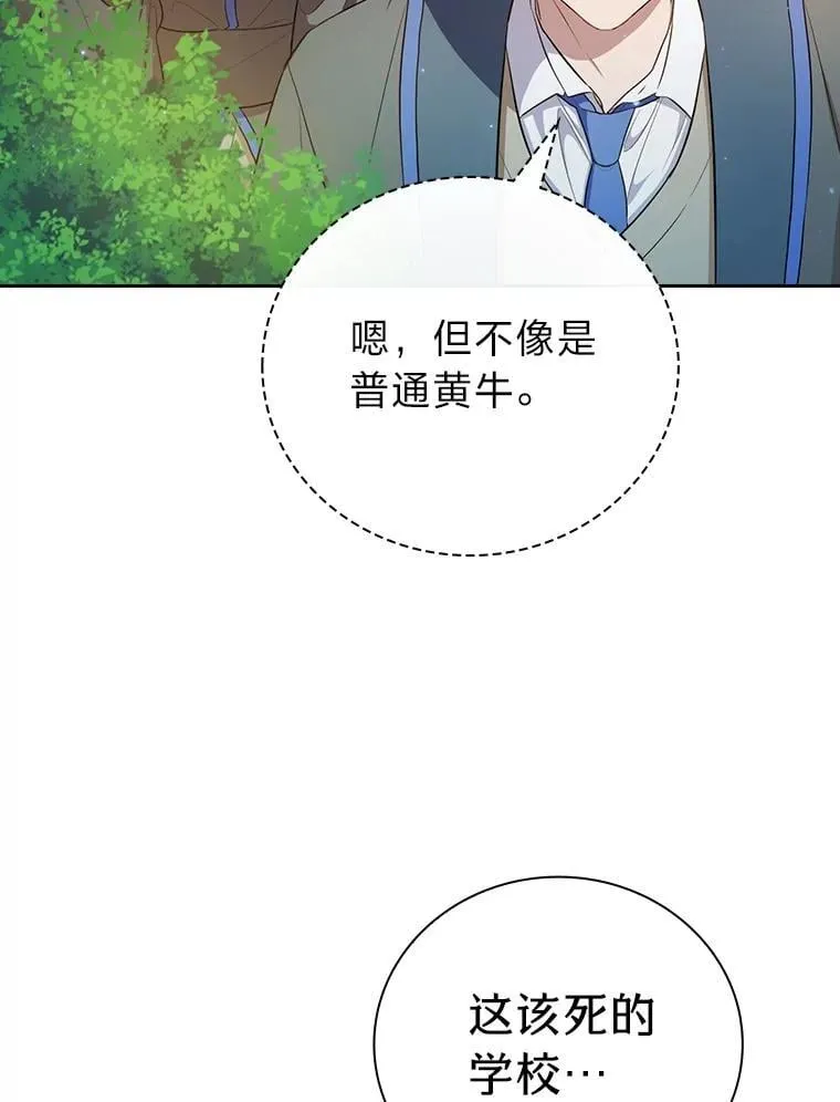 91.对战超牛黄牛 第62页