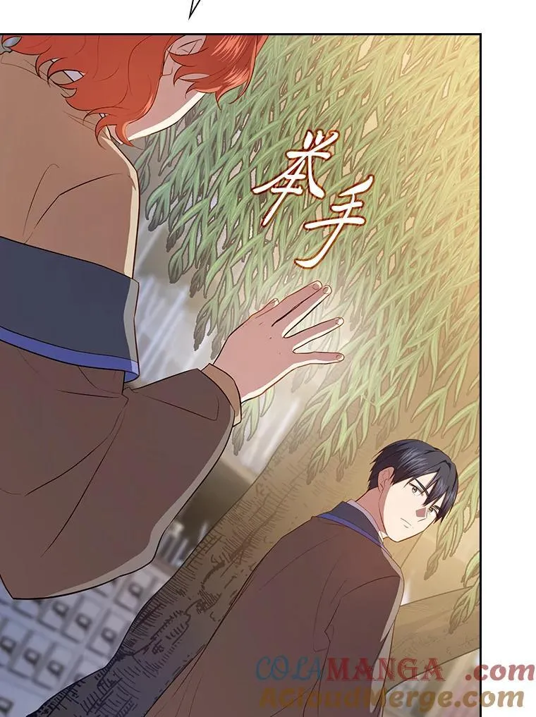 93.柳树教授的奖励 第13页