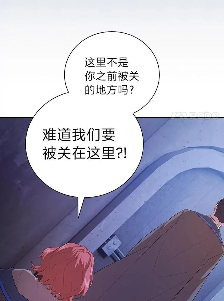 94.新的小精灵 第56页