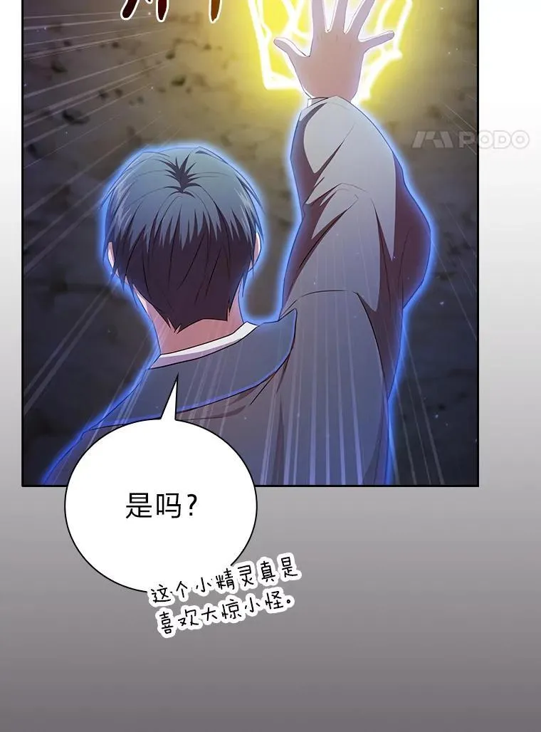 98.精灵魔法 第127页