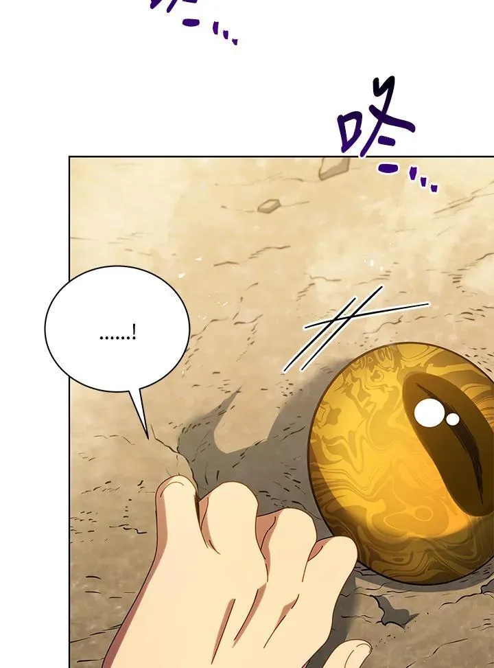 第67话 第28页