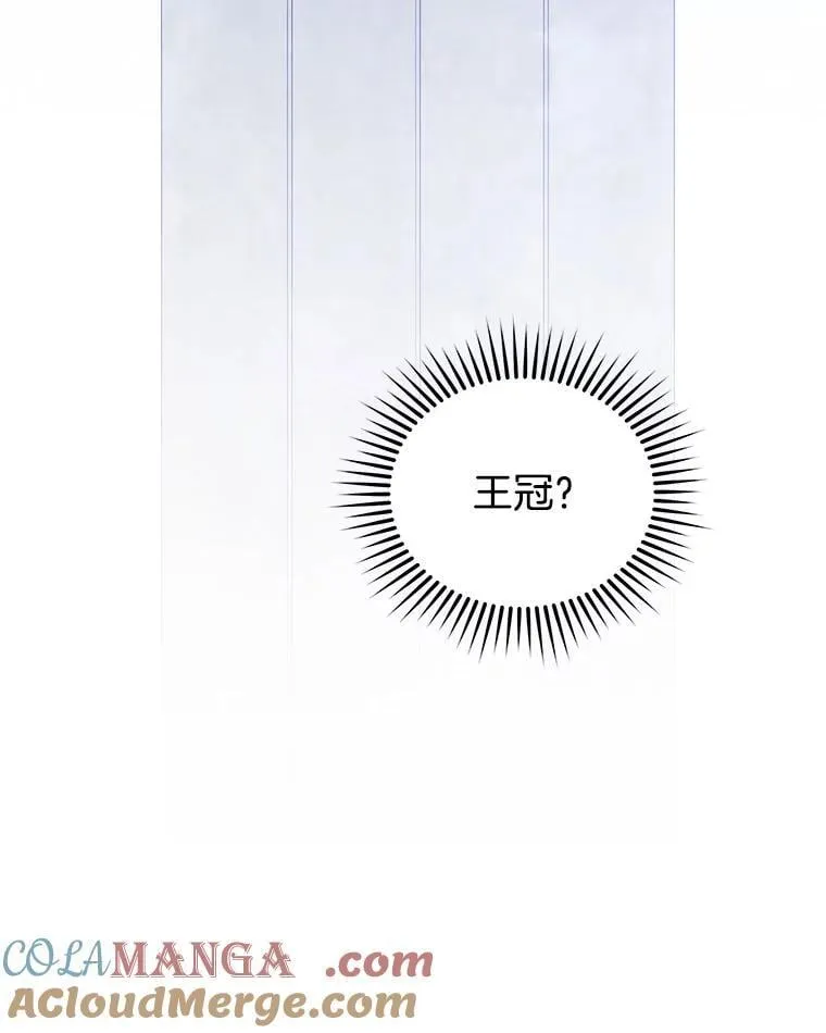 114.王冠 第113页