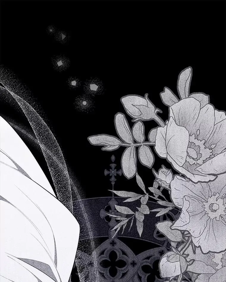 50.新的计划 第34页