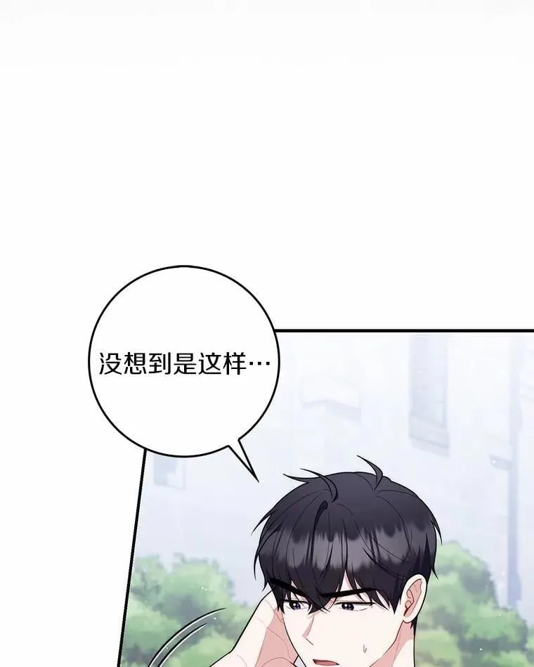 50.新的计划 第41页