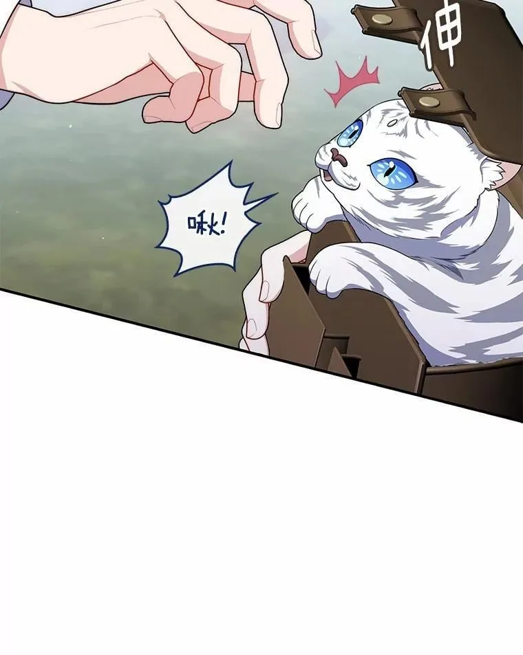 52.获胜者不是您 第58页