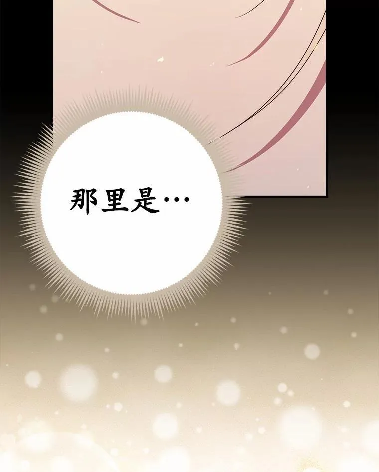 52.获胜者不是您 第132页