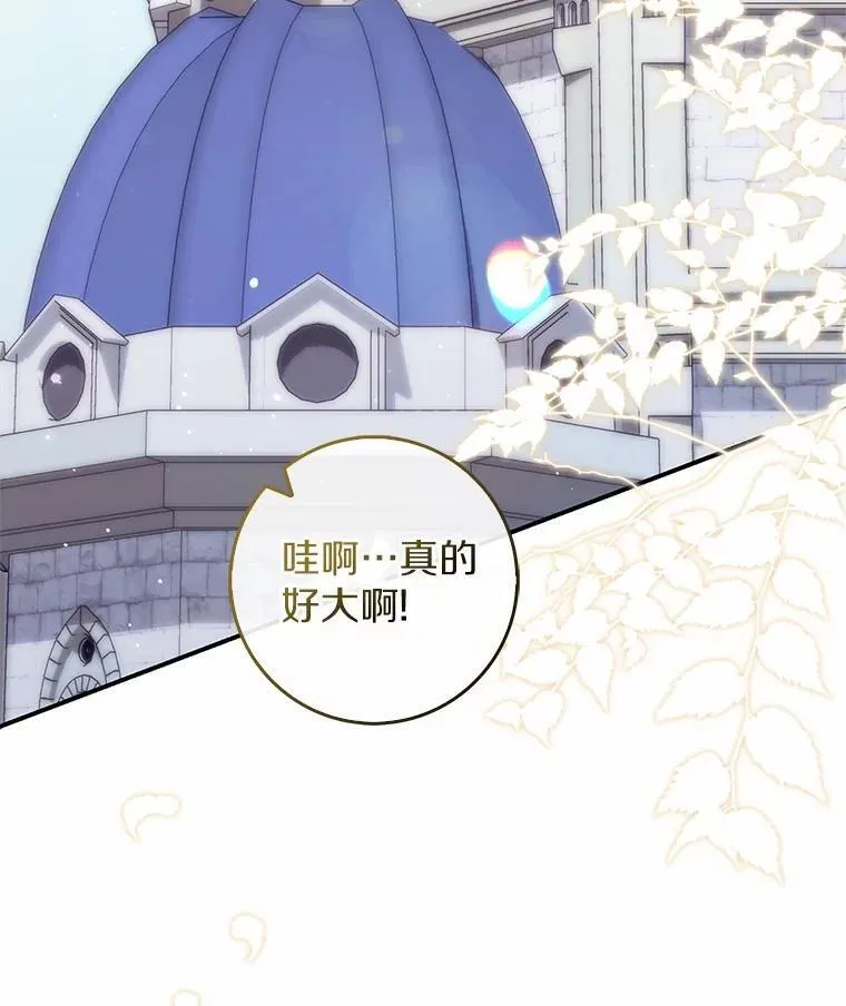 74.治愈魔法 第36页