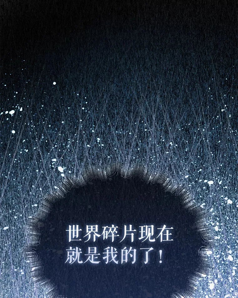 13.斗神标识 第134页