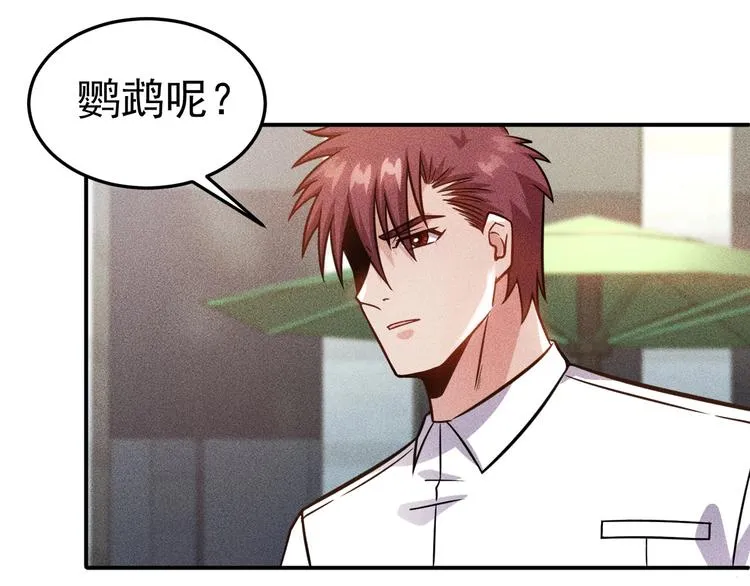 第49话 美女主持人 第14页