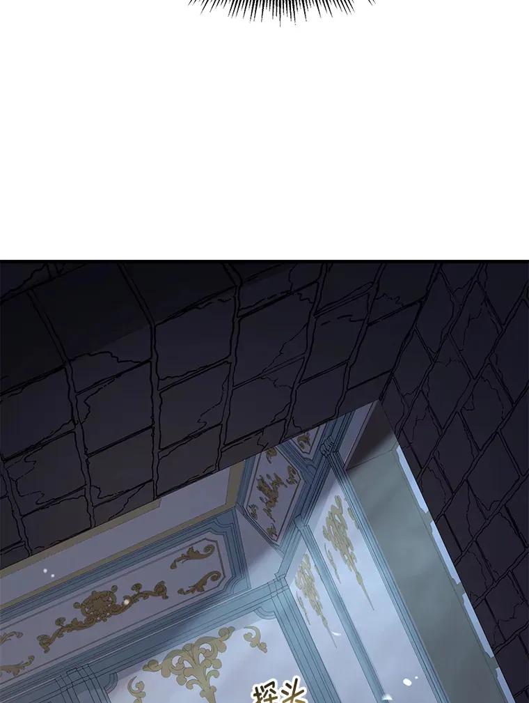 4.哈雷尔牌钻石 第10页