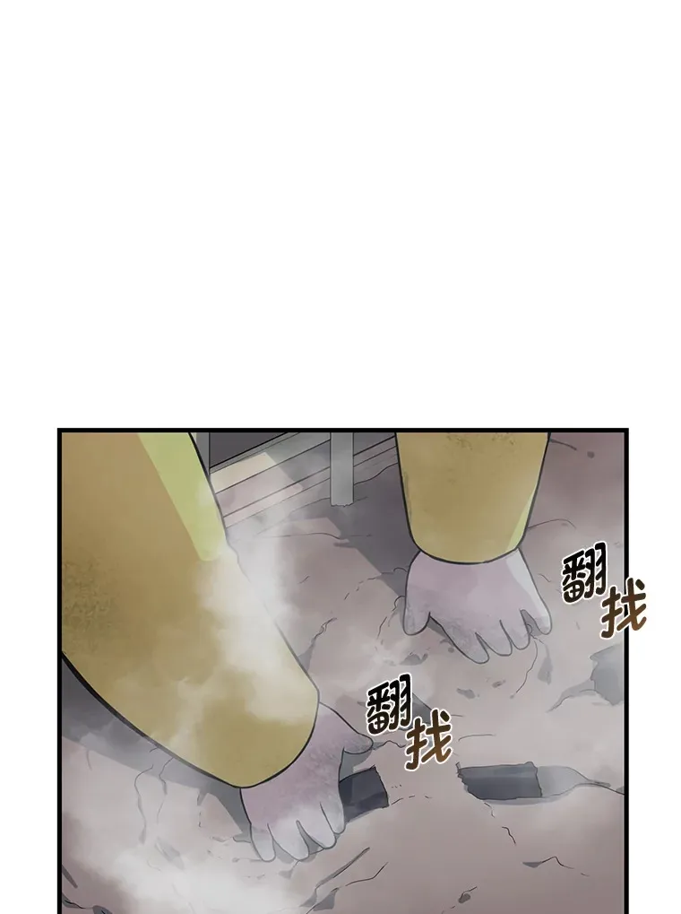 4.哈雷尔牌钻石 第49页