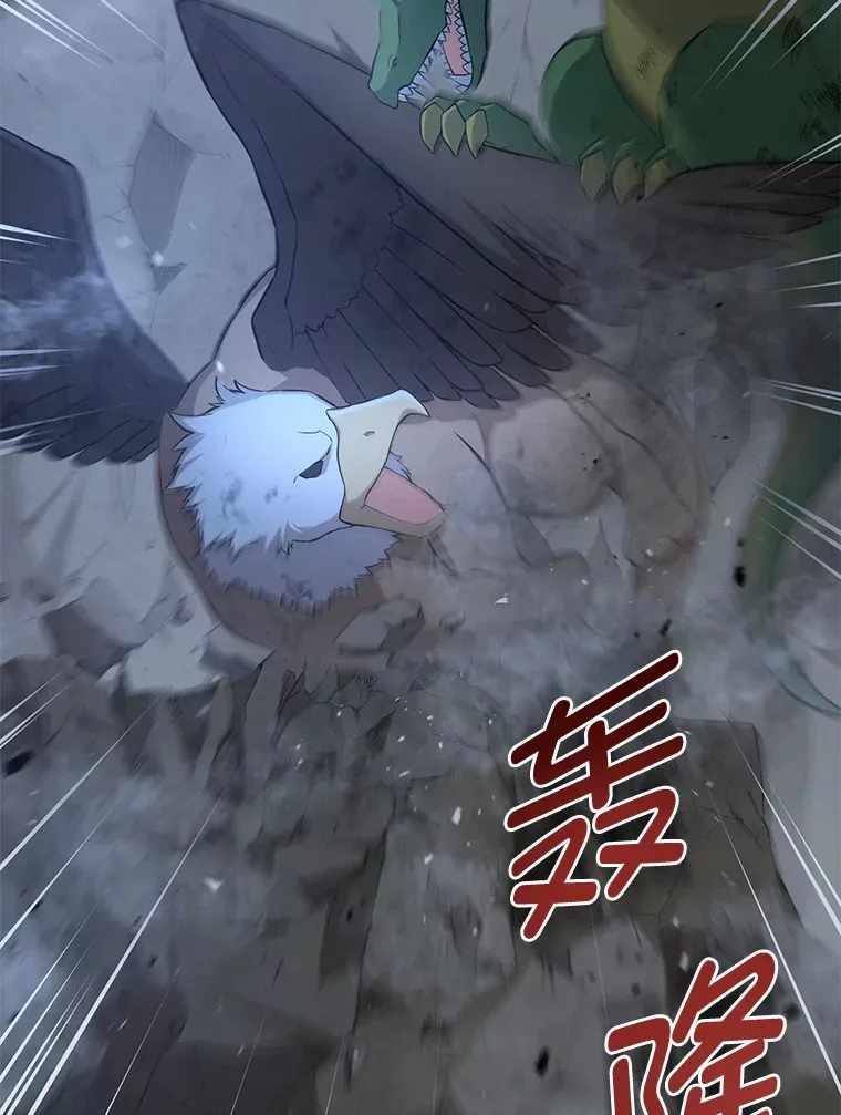 19.狮鹫宝宝 第98页