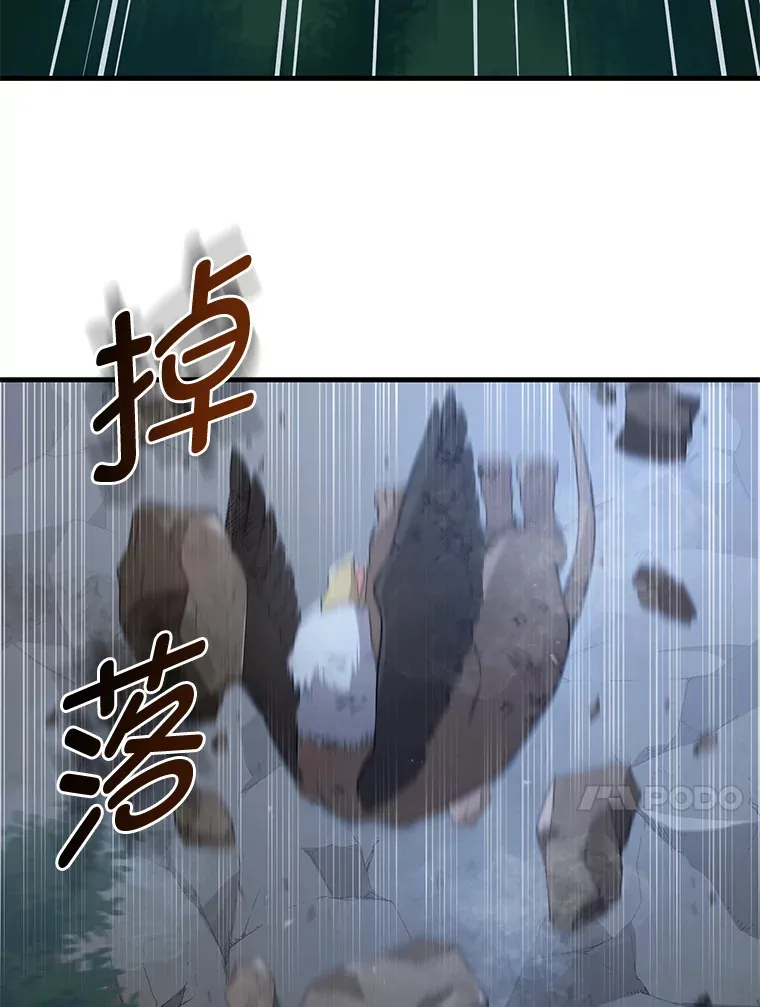 19.狮鹫宝宝 第100页