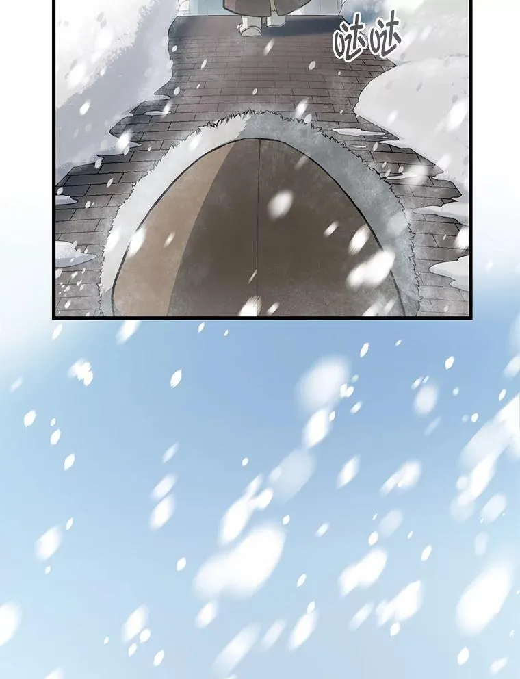 34.振兴帕西利亚 第13页