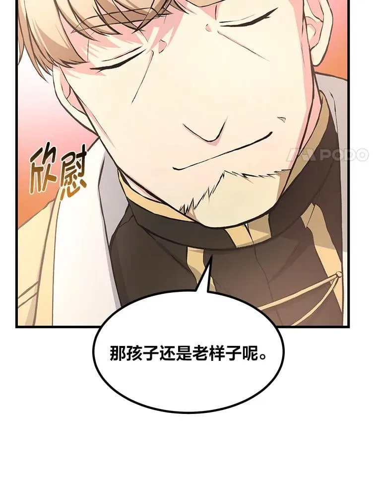 34.振兴帕西利亚 第41页